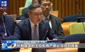 中方代表:主权平等是现代国际关系的基石