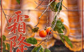 霜降|万物收敛,好“柿”成“霜”