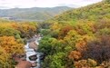 秋色染群山