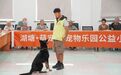 同住一栋楼,代际共融如何重塑养老“精神陪伴”