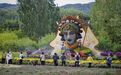 国家植物园“穆帅点芳”火出圈,用真花草“上妆”有何难度?