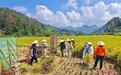 国庆假期福建“奔县游”热潮涌动 “慢充式旅游”越来越火