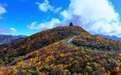 【#不爬山也能赏秦岭绝美秋景#】 陕西汉中龙头山景区迎来秋日盛景,五