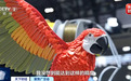 出口暴涨近110%!又一中国造,成广交会“顶流”