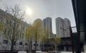 微改造焕新老院落|中华巴洛克街区“仁义大院”迎客来