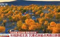 视频丨长线游成主流 沉浸式体验点亮假日新图景