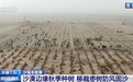 视频丨锁边“合龙”不是终点 塔克拉玛干沙漠边缘还在不断变绿