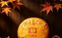 秋日送礼:大益金针白莲,一缕莲韵,惊艳时光