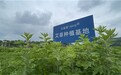 艾灸仪凭什么成为行业未来?从原理、原料到技术,一篇说透