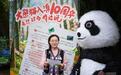 十年,大熊猫毛竹、珍多把昆明住成了家