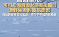 快评丨可可托海景区附近雪豹伤人,仅靠游客“自律”还不够