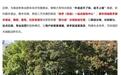 解决外卖进不了医院问题,顺丰速运、顺丰同城、美团共推骑手“接力送”方案