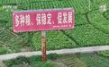 “纸上种田”不能止于打假