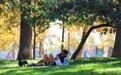 智利成为南美洲首个消除犬传人狂犬病的国家