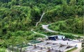 养鱼不“催肥”、“瘦身”更值钱 酉阳生态冷泉鱼提质溢价闯市场