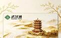 武汉通互联互通卡9月22日发行,全国300余城一卡通行
