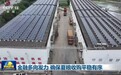 视频|金融多向发力 确保夏粮收购平稳有序