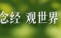 一年1133人,苏格兰为何沦为欧洲“毒品死亡之都”?