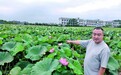 乡村振兴看湘潭丨试验田里荷花俏