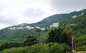 为凤凰茶业通上“满格”电力