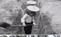 万里边疆行|从“黄沙堵家门”到“绿浪锁风口”:小岞林场跨越六十载的巾帼坚守(7)
