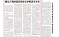 理论观澜 | 严琰:推动河南非遗系统性保护和活态传承