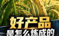 一粒种子、一束碳丝、一次碰撞,解码中国质量