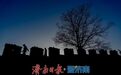 千年齐长城装上“智慧大脑” 山东首创线性文化遗产全周期数字化保护体系