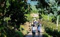 徒步龙泉山、打卡川菜博物馆、赏西岭秋色,国庆成都近郊文旅活动人气旺
