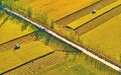 看,沃野新图景 | 喜迎省第十二次党代会
