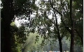 48个人形玻璃雕像吓到游客,景区:体现人与自然的对话