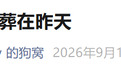 DeepSeek算子负责人:《我不得不把才华埋葬在昨天》