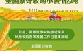 秋粮收购准备就绪 四条路径保障“米袋子”和“钱袋子”