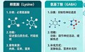 儿童氨基丁酸哪个牌子好?2026五款赖氨酸品牌配方、效果、安全解析