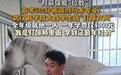 男生高考522分,被调剂到马术专业学钉蹄,全年级就他1人