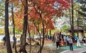 国庆黄金周收官 吉林文旅成绩单来了