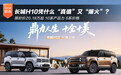 限时价20.18万起 长城H10凭什么“真值”又“爆火”?
