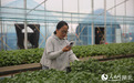 湖北咸宁:全域整治让乡村既有景观又有产业