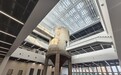 从“钢筋铁骨”到“科创之心”——北京昌平以校地协同加速向“新”