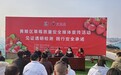 武汉“抽检+送检”田间检测模式让草莓吃得更安心