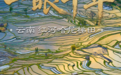 这里,一眼千年 !