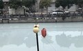 “河流一夜变白”,浙江温州通报:企业胶水泄漏