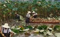 荆楚沃野绘丰图——湖北加快打造新时代“鱼米之乡”观察