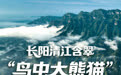 开局之年看中国•潮涌荆楚|长阳清江含翠,“鸟中大熊猫”年年赴约