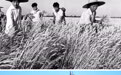 快门穿越历史 国庆品读北京(7)
