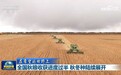 【在希望的田野上】全国秋粮收获进度过半 秋冬种陆续展开