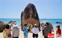 海南:国庆假期接待游客475.4万人次,旅游总花费68.75亿元