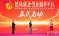 今年将开展1万人次培训、20场招聘会,楚凤平台助力湖北女性就业创业