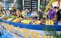 东盟11国首次齐聚中国—东盟博览会,东帝汶首次以共同主办方身份亮相