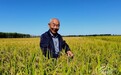 吉地振兴 沃土向新|78岁“老把式”的水稻革命